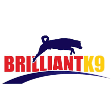 BrilliantK9 Kod Kupon & Promosi