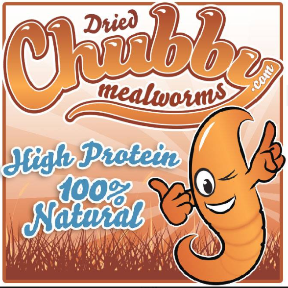 Chubby Mealworms